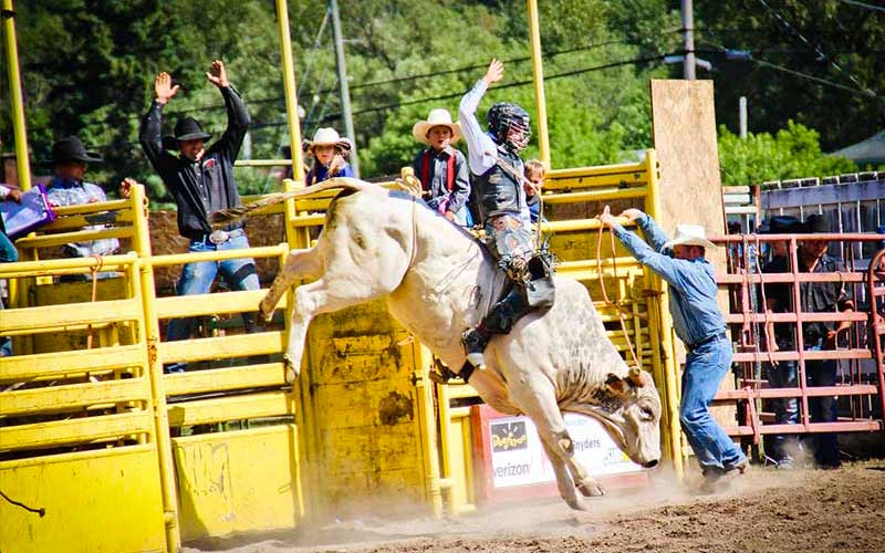 Visit-rodeo